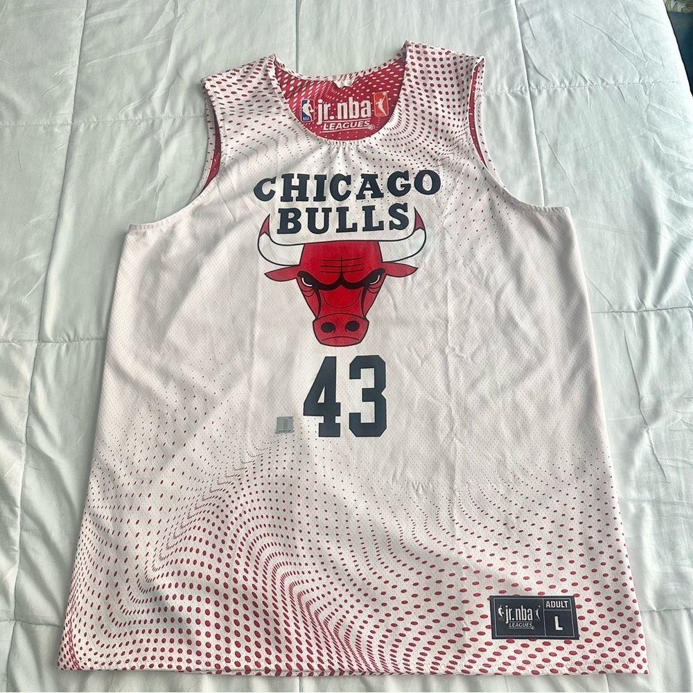 New! Chicago Bulls Jr Nba League Jersey #43 Adult Large Reversible Official - Picture 2 of 10